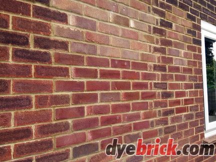 002 dyebrick